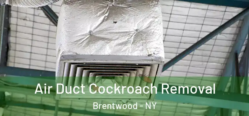 Air Duct Cockroach Removal Brentwood - NY