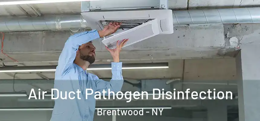  Air Duct Pathogen Disinfection Brentwood - NY