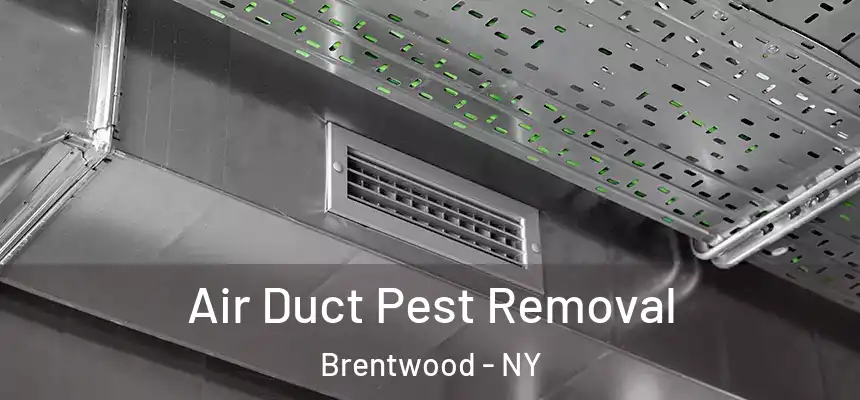 Air Duct Pest Removal Brentwood - NY