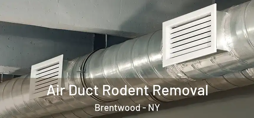  Air Duct Rodent Removal Brentwood - NY