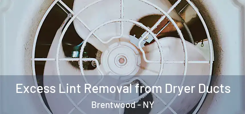 Excess Lint Removal from Dryer Ducts Brentwood - NY