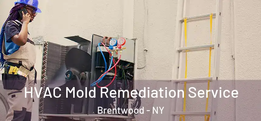  HVAC Mold Remediation Service Brentwood - NY