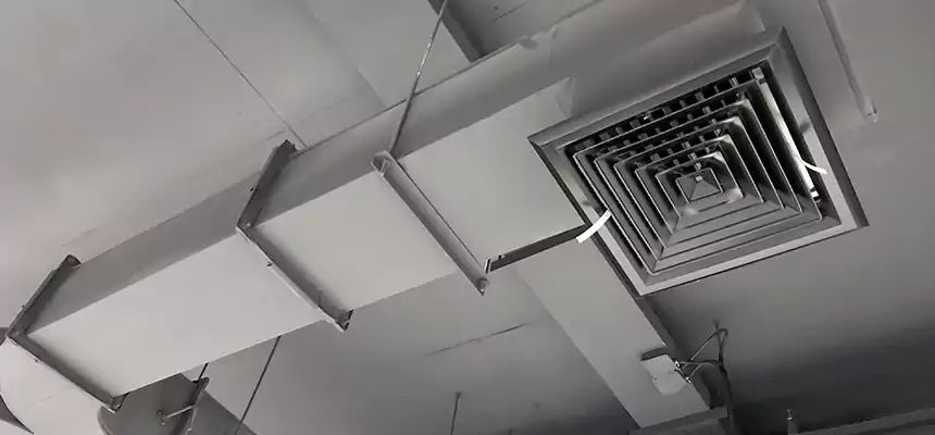 Restorative Allergy Relief Vent Cleaning – Coil, Blower & Housing Detail in Brentwood