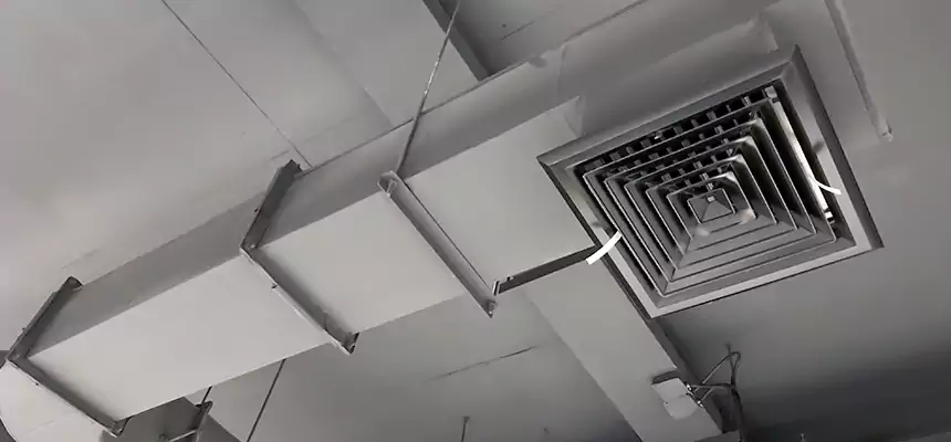 Our Pest Removal From Ducts Services in Brentwood, NY