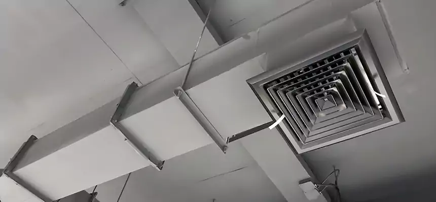 Our Rodent Droppings In Vents Services in Brentwood, NY