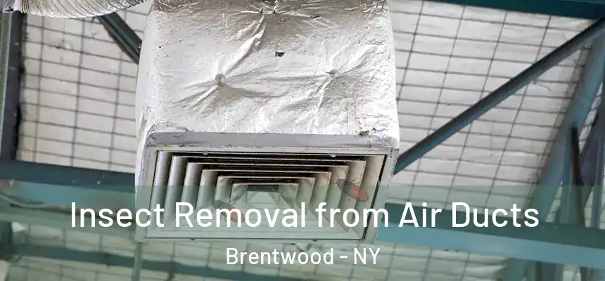  Insect Removal from Air Ducts Brentwood - NY