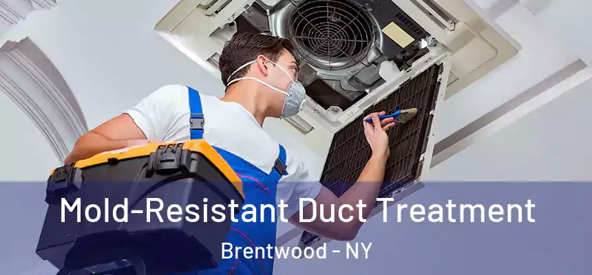  Mold-Resistant Duct Treatment Brentwood - NY