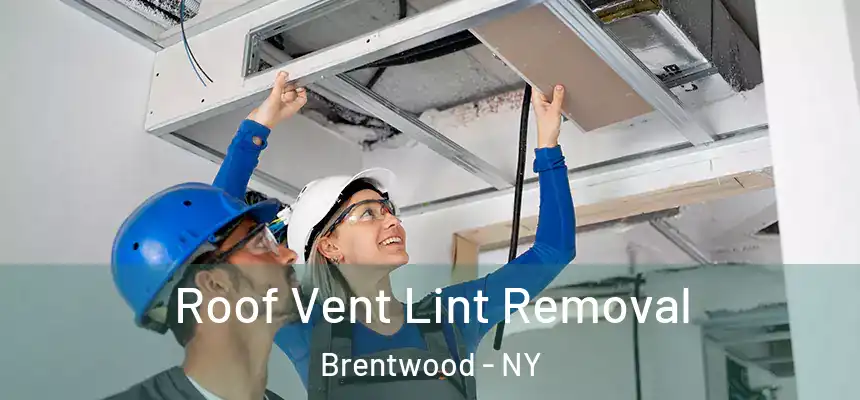  Roof Vent Lint Removal Brentwood - NY