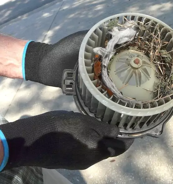 About Air Duct Rat Removal in Brentwood, NY