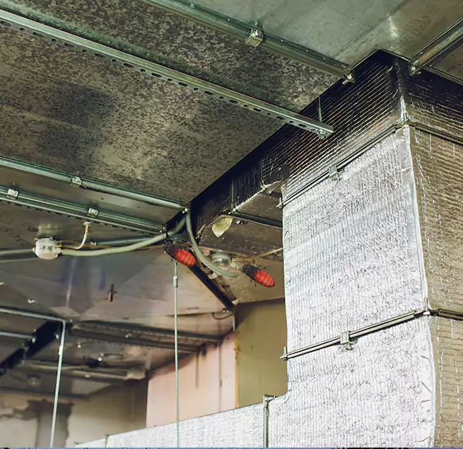 Why Homeowners & Businesses Trust Us in Brentwood, NY?