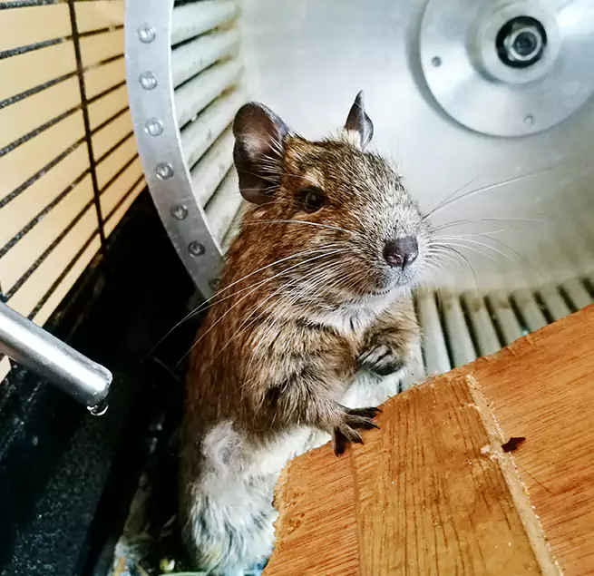 Why Homeowners & Businesses Trust Us Brentwood, NY