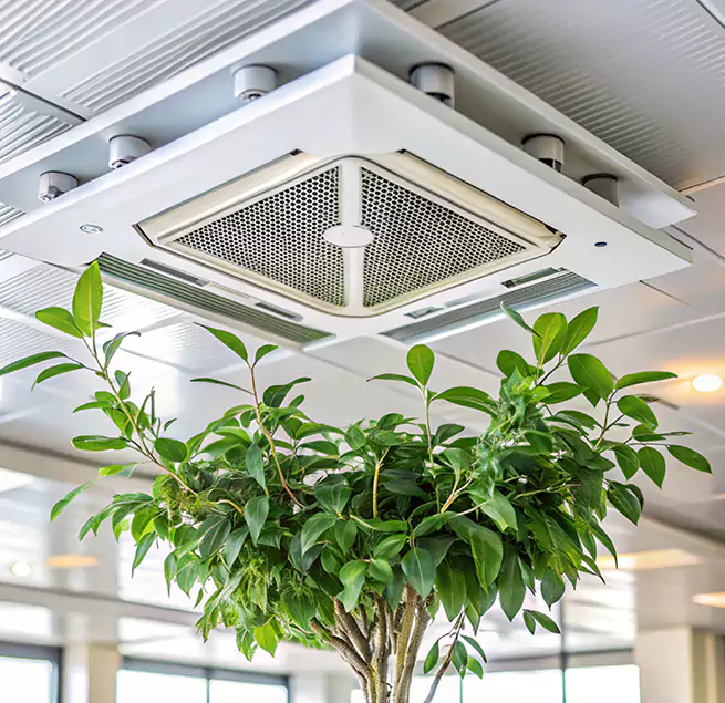 Why Homeowners & Businesses Trust Us in Brentwood, NY