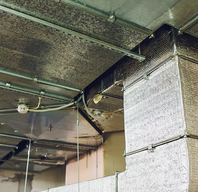 Why Homeowners & Businesses Trust Us in Brentwood, NY?